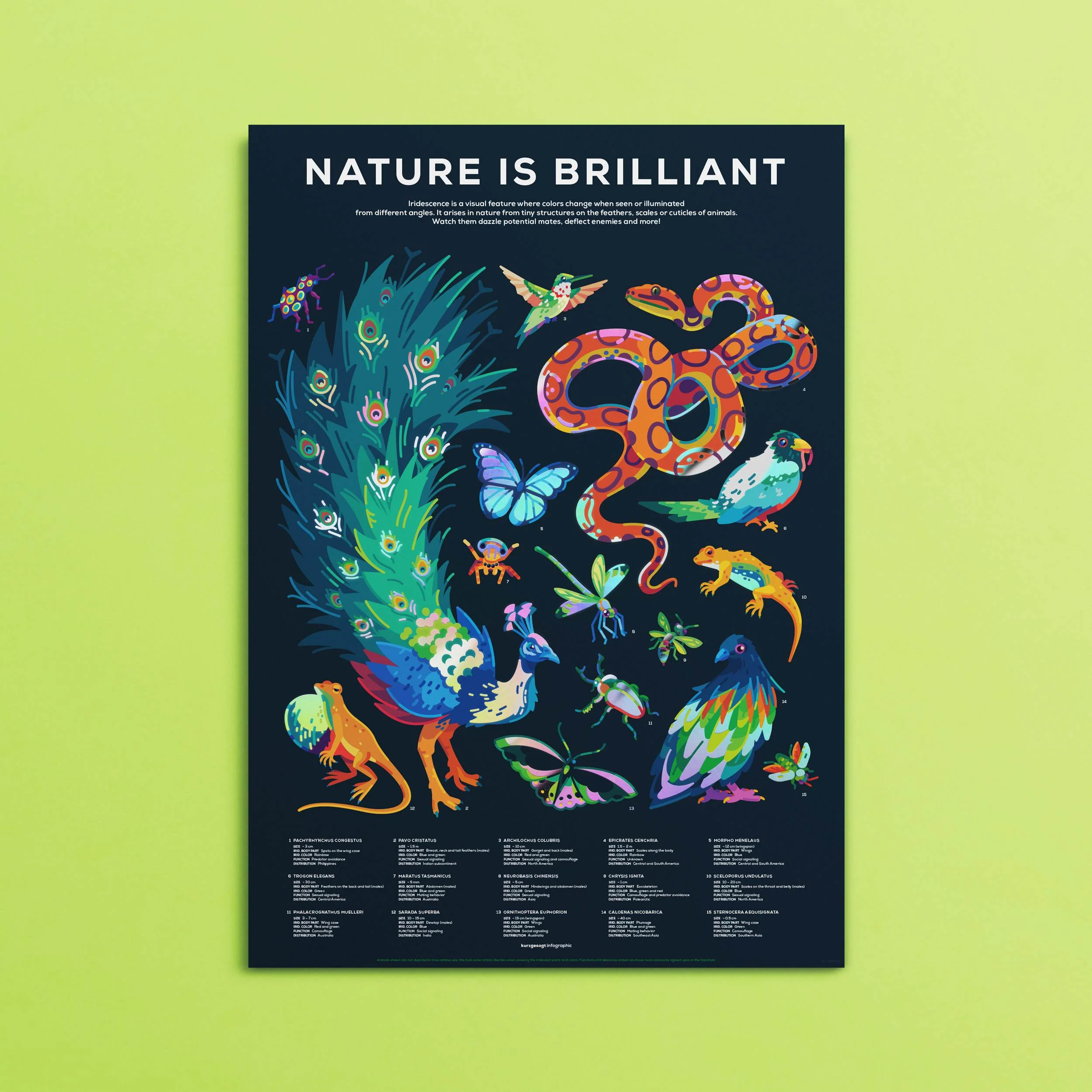 Iridescent Animals Poster - Image 3