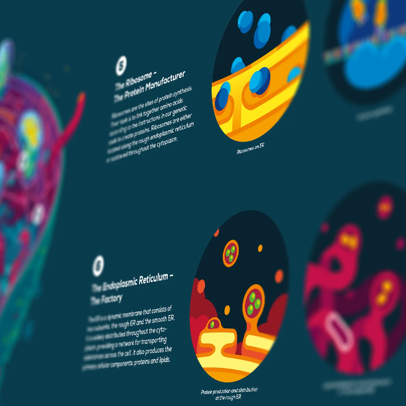 Human Cell Poster - Image 5
