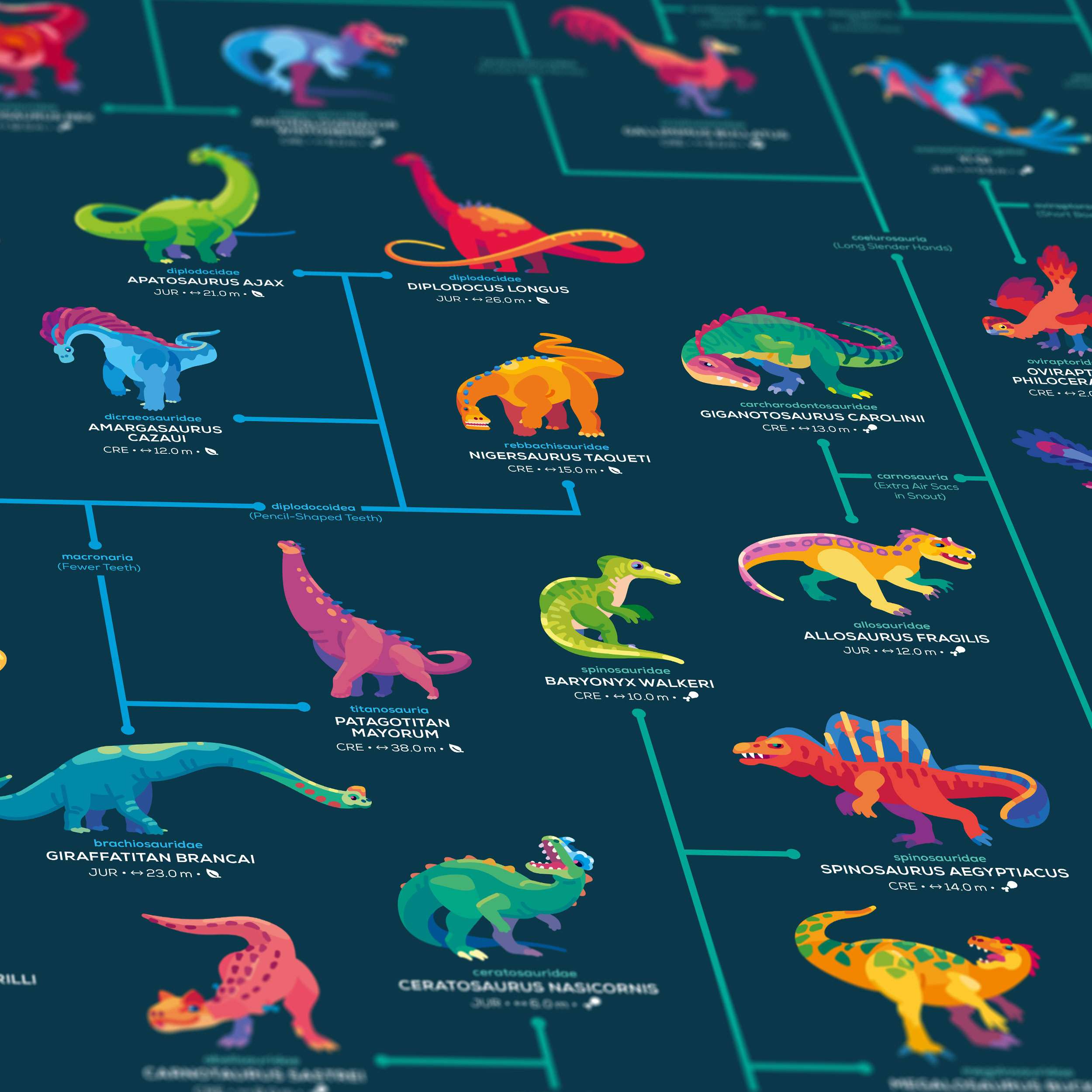 Map of Dinosaur Evolution Poster - Image 3