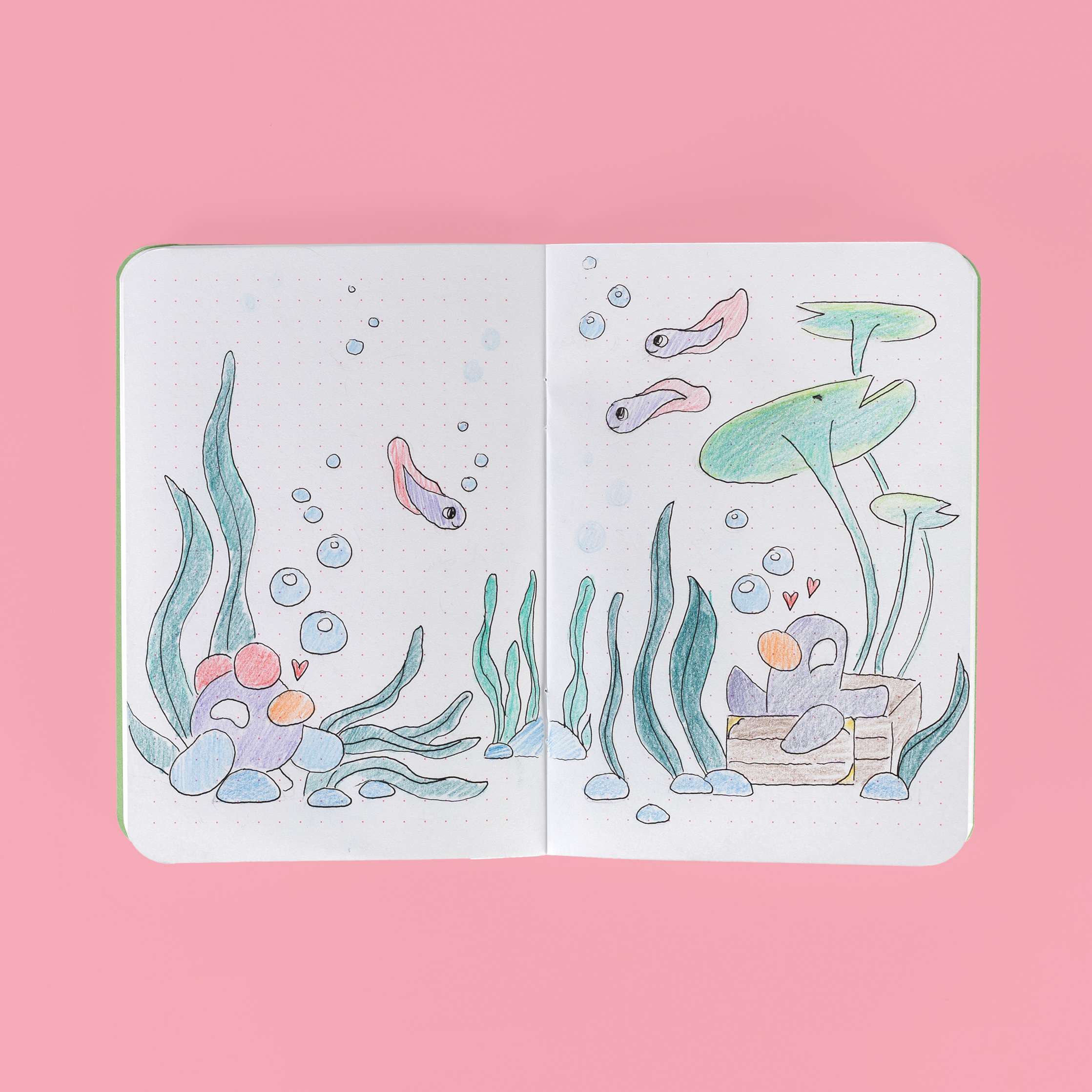 Pocket Log: Lake Collection - Image 6